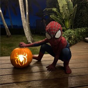 Spider-Man  Superhero kids costume 4T